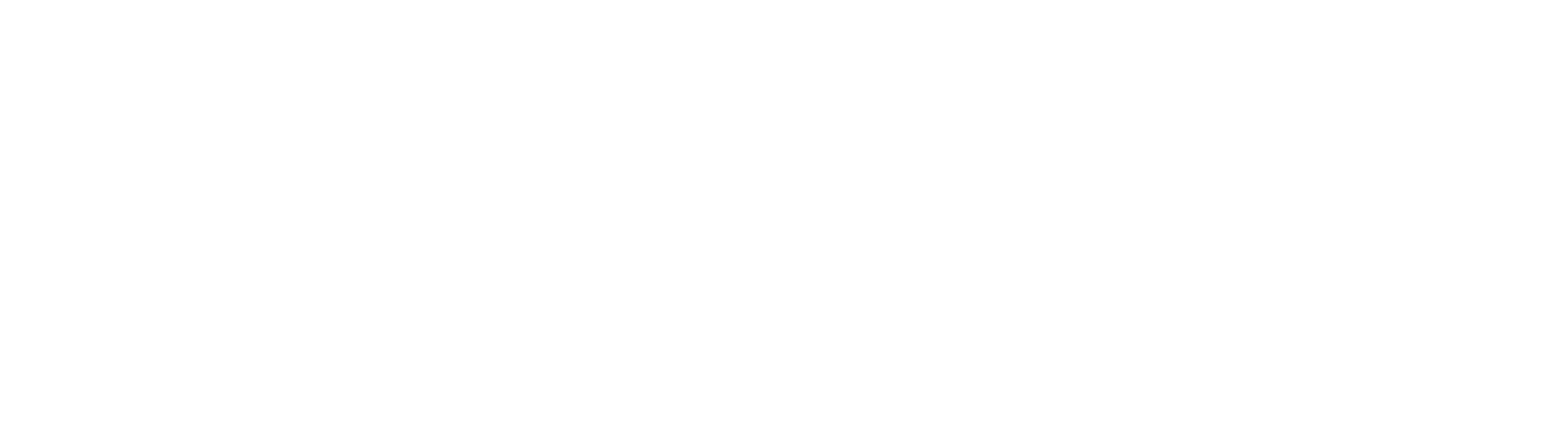 Syrian Disability Movement